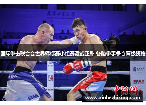 国际拳击联合会世界锦标赛小组赛激战正酣 各路拳手争夺晋级资格